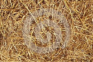 Dry rice straw texture for background and design, hay bale pattern