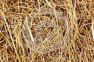 Dry rice straw texture for background and design, hay bale pattern