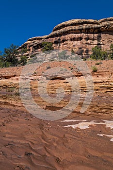 Dry river bank