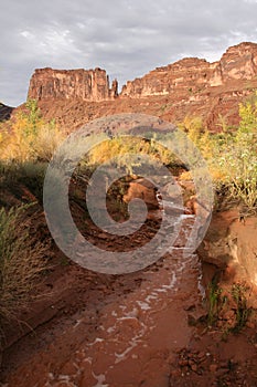 Dry River Bed