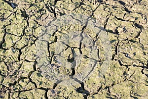 Dry river bed. Empty dry river bed with cracked ground. Global warming concept. Flat desert plain landscape, dried up reservoir,