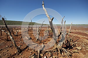 Dry river bed in MItchell River National Park