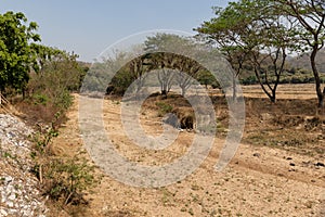 Dry river bed in northern Thailand