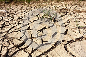 Dry river  with cracked soil