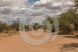 Dry river in the south of Karibib, Erongo, Namibia