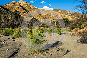 Dry Riverbed in California Canyon