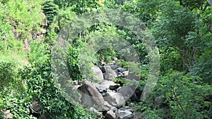 Dry riverbed in the mountains on the Hindu island of Bali. Non-heated forest without human intervention. Lush vegetation in jungle photo