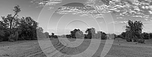 The dry riverbed of the swakop river in the morning in black and white Namibia