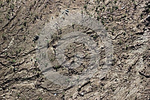 Dry riverbed texture background