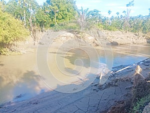 Dry Riverbed with Trees and Shadows