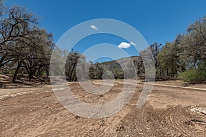 The dry riverbed of the Ugab River, Damaraland, Namibia