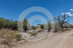 The dry riverbed of the Ugab River, Damaraland, Namibia