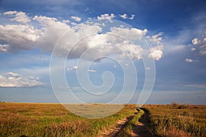 Dry road in steppe photo