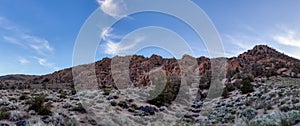 Dry rocky desert mountain landscape with trees. Sunny Sunset Sky