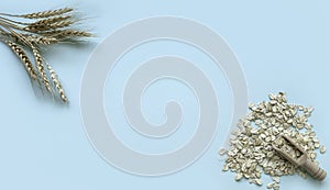 Dry rolled oatmeal cereal. Wooden scoop spoon of oat flakes with its plant on a pastel background with copy space