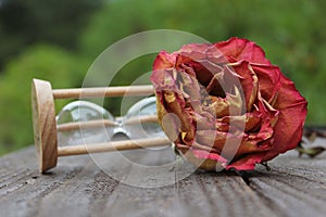 Dry Rose and Broken Hourglass