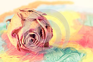 Dry rose bud on abstract painting