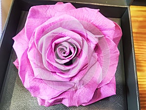 dry rose flower