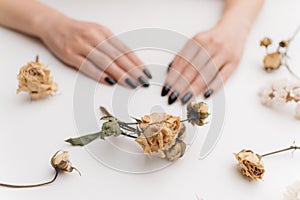 Dry rose flower in front of woman hands.
