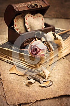 Dry rose, old book