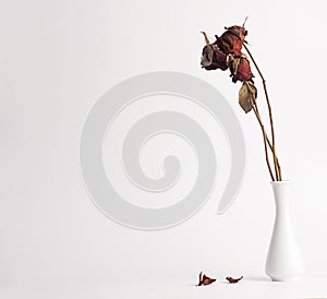 Dry rose in a vase
