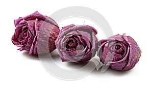 Dry roses