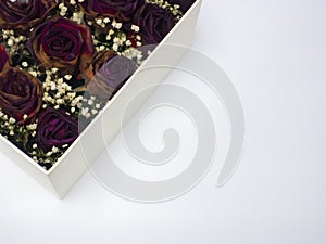 Dry roses in gift box on white background, Copy space
