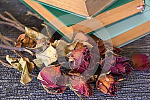 Dry roses and old book