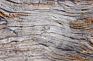 Dry rotted wood background
