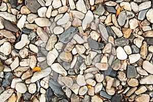Dry round stones