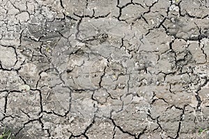 Dry rusty earth bottom at waterless summer