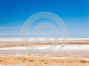 Dry salt lake