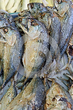 Dry and salted fishes at the market photo