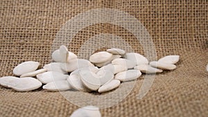 Dry salted pumpkin seeds with shells fall on a rustic sack in slow motion.