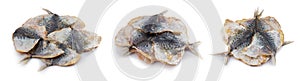 Dry salted yellowstripe scad. Dried small fish isolated, selaroides snack, stockfish beer snacks, dried flat fillet