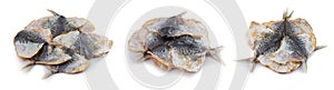 Dry salted yellowstripe scad. Dried small fish isolated, selaroides snack, stockfish beer snacks, dried flat fillet photo