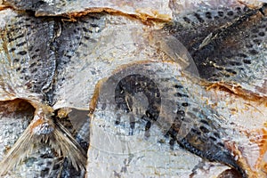 Dry salted yellowstripe scad texture background. Dried small fish pattern, selaroides snack wallpaper photo