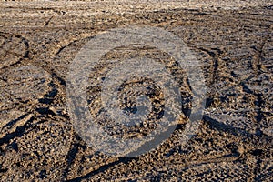 Dry sand and mud ground with many dirt bike tracks at daylight