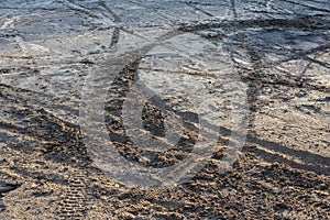 Dry sand and mud ground with many dirt bike tracks at daylight