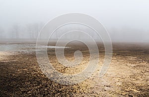 Dry sand texture on released pond ground in misty fog. Czech landscape