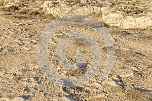 Dry sandy land, road, seashore on a hot day. Close-up. Space for text. Background