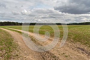 A dry sandy road passes through a field under the scorching sun and clouds. Dirt road outside the city in the village. Arid