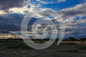 Dry savanna landscape with beautiful clouds massai mara kenya