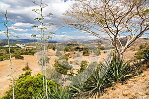 Dry savanna. Rural landscape, nature of East Timor or Timor-Leste, near Baucau, Vemasse, Laleia, Manatuto. Maritime Southeast Asia