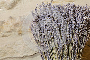 Dry scented decoration lavanda purple plants on a yellow stoned background