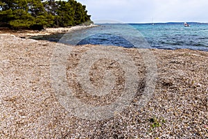 Dry sea grass Posidonia oceanica on the Parzine beach on Ilovik island