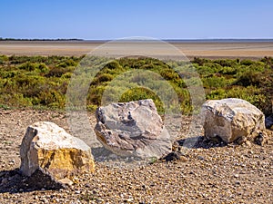 Dry season in the Camargue Natural Park - arid landscape