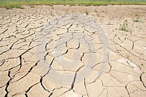 Dry season - dried ground