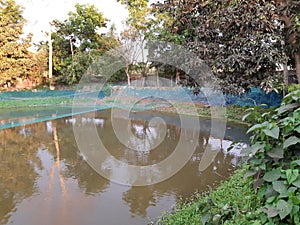 Dry Season in winter pond,  village Area