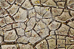 Dry sediment soil cracks appearing